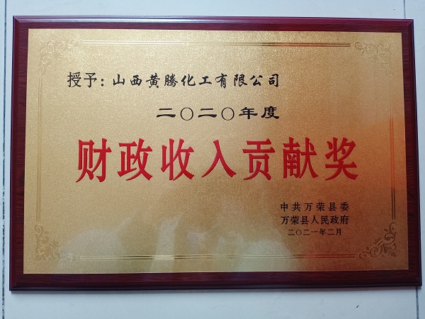 2020年財政收入貢獻(xiàn)獎.jpg